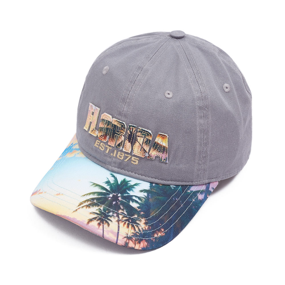 <img src="https://img.alicdn.com/imgextra/i1/O1CN01vPdvtj1x6xvM9S9B5_!!6000000006395-2-tps-106-45.png">Wholesale Cheap 6-Panel Hat High Quality Sports Custom Embroidery Logo Hats