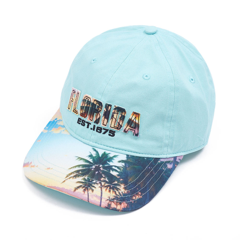 <img src="https://img.alicdn.com/imgextra/i1/O1CN01vPdvtj1x6xvM9S9B5_!!6000000006395-2-tps-106-45.png">Wholesale Cheap 6-Panel Hat High Quality Sports Custom Embroidery Logo Hats