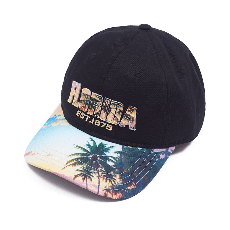 <img src="https://img.alicdn.com/imgextra/i1/O1CN01vPdvtj1x6xvM9S9B5_!!6000000006395-2-tps-106-45.png">Wholesale Cheap 6-Panel Hat High Quality Sports Custom Embroidery Logo Hats