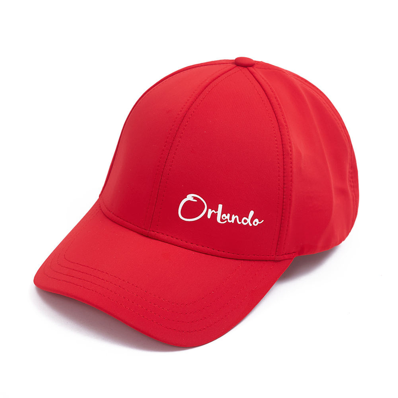 <img src="https://img.alicdn.com/imgextra/i1/O1CN01vPdvtj1x6xvM9S9B5_!!6000000006395-2-tps-106-45.png">6 Panel Flat Bill Custom Embroidery logo Snapback Baseball Sports Hats Caps for Men